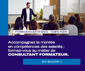 Consultant formateur